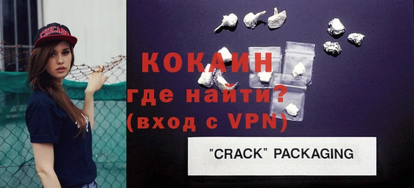 стаф Гатчина