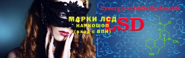 ПСИЛОЦИБИНОВЫЕ ГРИБЫ Осташков