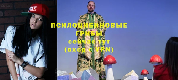 прущие крисы Белоозёрский