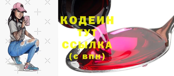 хмурый Нягань