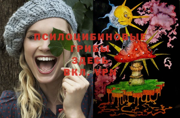 хмурый Нягань