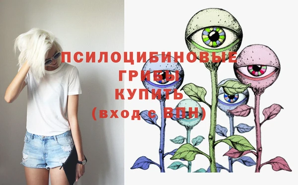 ПСИЛОЦИБИНОВЫЕ ГРИБЫ Осташков