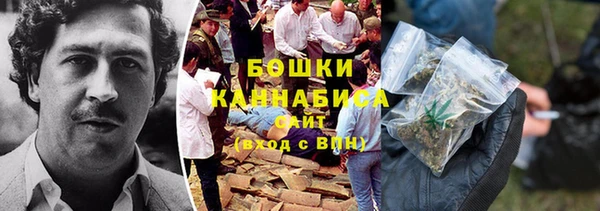 ALPHA PVP Осинники